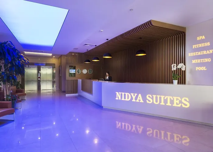 نيديا اسينيورت فندق اسطنبول