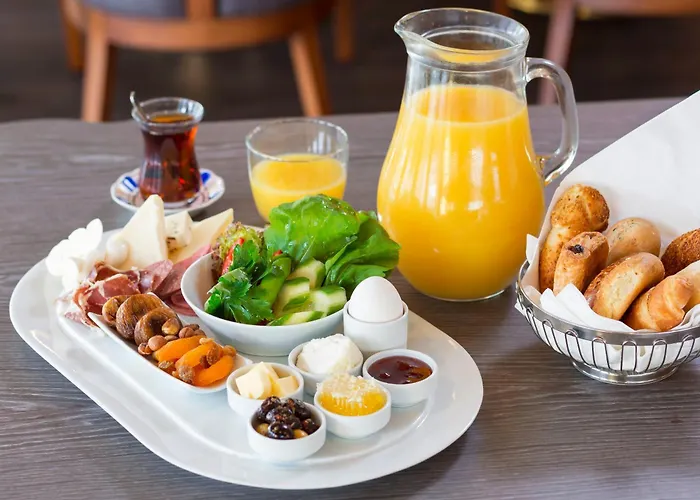 نيديا اسينيورت فندق اسطنبول