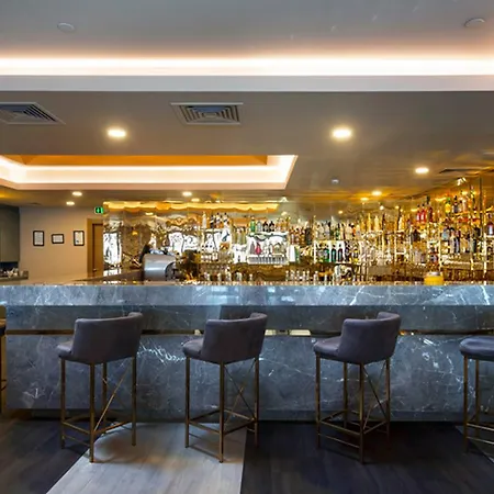 倪迪亚赛森酒店 酒店 伊斯坦布尔